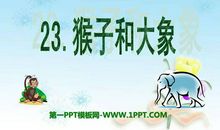 关于关于猴和大象的谚语