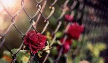 没熬过几个低潮期，怎么好意思谈人生