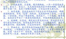 有关写人的句子