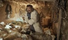 《一个勺子》观后感