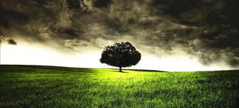 埋葬职业的10种方法