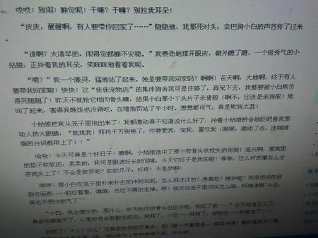 撰写动物文章：小黑皮皮犬