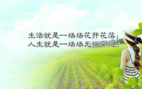 著名的婚姻行情