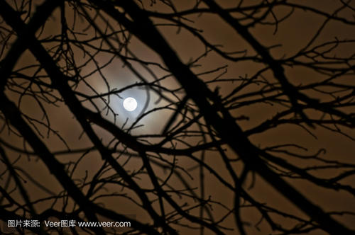 月亮很美