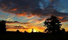 你必须成为自己的首席执行官