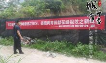 清明节防火标语