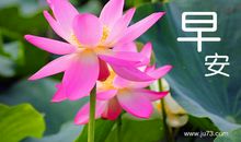 早安心语：爱着，就是幸福；遇着，就是温暖