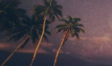 经典语录：最美的相遇，不言过往；最好的离别，不问归期