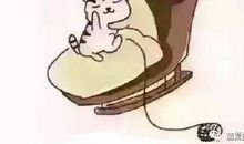 只要努力工作，没有什么是你买不起的