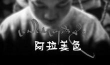 电影《阿拉姜色》观后感