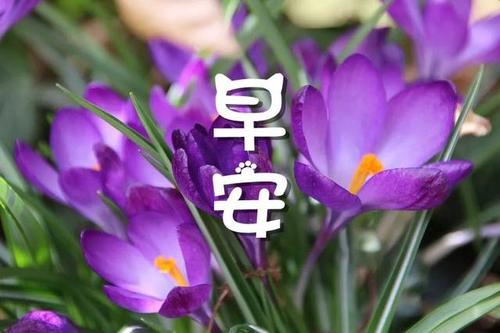 早安讯息:哪里有失望,哪里就有希望