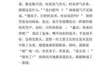 有趣的“吹鸡毛”比赛作文