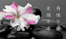 早安心语：有缘，不推；无缘，不求