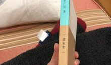 李广田：柳叶桃