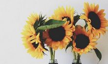 晚安心语：与其在意别人的背弃和不善，不如经营自己的尊严和美好