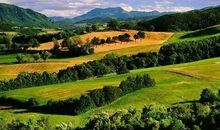 拒绝别人，越简单越好