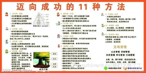九种心态帮助您成功