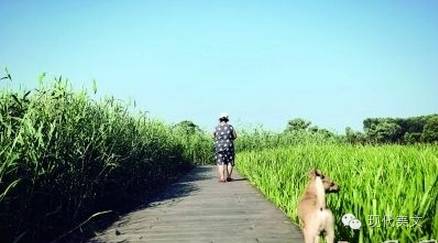 我们是如此深爱我们的孩子,他们爱我们吗?