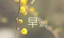 早安心语：真正的爱，就是两份孤独，相护，相抚，喜相逢