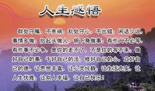 人生感言