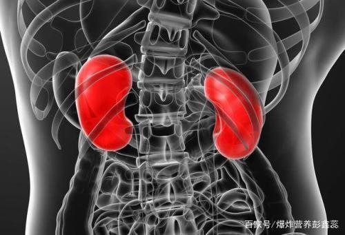 爱与恨,美丽丑陋的谚语