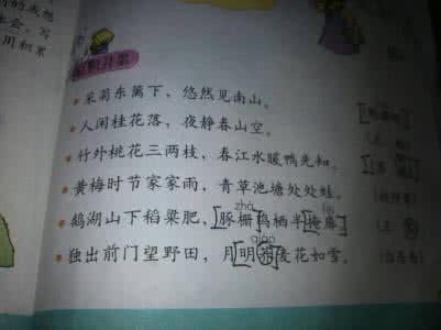 好的句子和段落描述了角色的心理