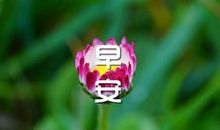 早安心语：哪会有人喜欢孤独，不过是受够了失望