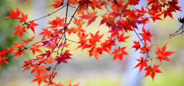 深夜不要做任何决定