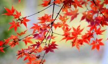 不要在深夜做任何决定