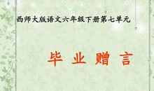 给小学生的毕业留言