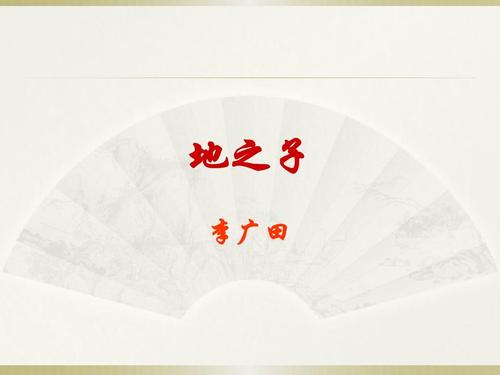 李光天:土地之子