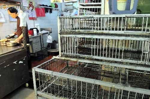 Caigen Xintan帮助您更加成功的七个技巧