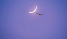 早安心语：生活总是两难，不过是一场随遇而安