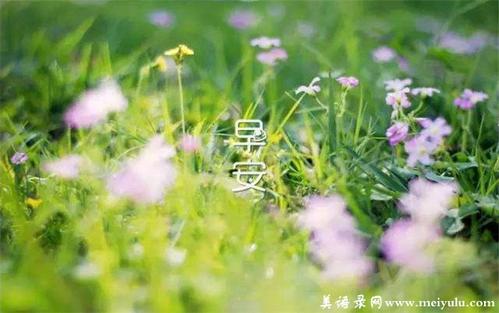 早安的念头：太多的爱让我感到困惑