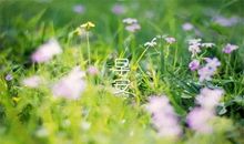 早安心语：是太爱，才会乱了阵脚