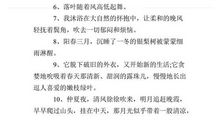 梅花的优美拟人句