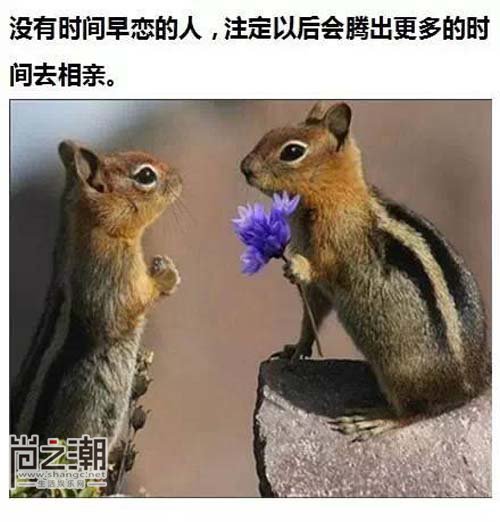 2016年最令人震惊的句子