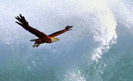 诺贝尔奖获得者:增长的十个因素