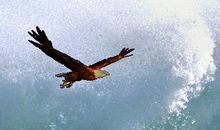 诺贝尔奖得主：成长的十大因素