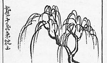 丰子恺：立达五周年纪念感想