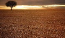 花最少的功夫培养最优秀的孩子