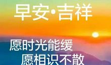 经典语录：等你确定了自己的心，再来找我