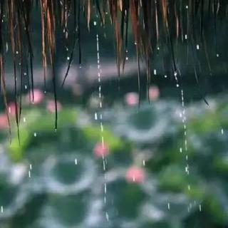 于光中：在雨中等你