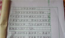 一盘鸭货让我怦然心动作文