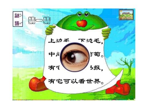 保护眼睛的名言