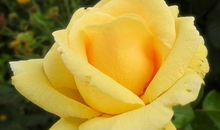 我最专注的那段时间收获最大