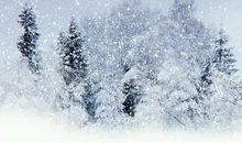 与雪有关的佳句