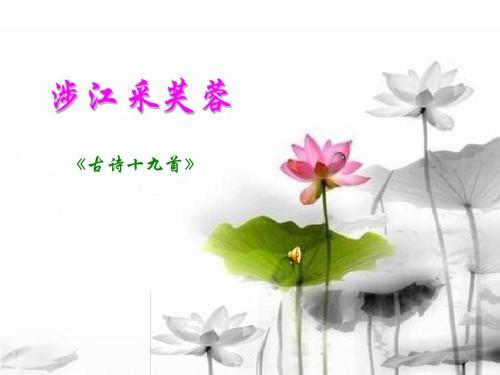 十九首古诗·She江芙蓉