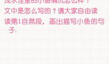 《这条小鱼在乎》读后感