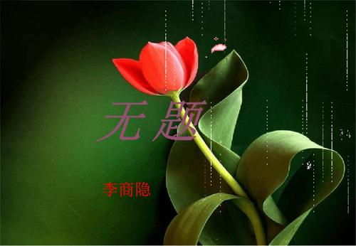 罗兰：生命与隐居